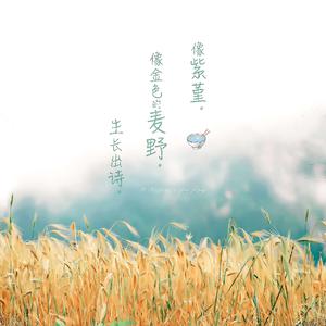 帝帝有话说1-100
